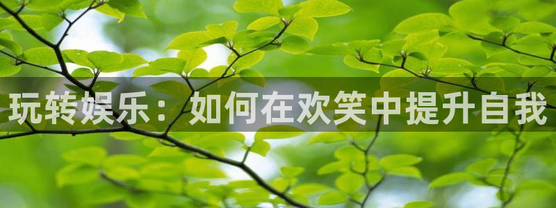 沐鸣娱乐2