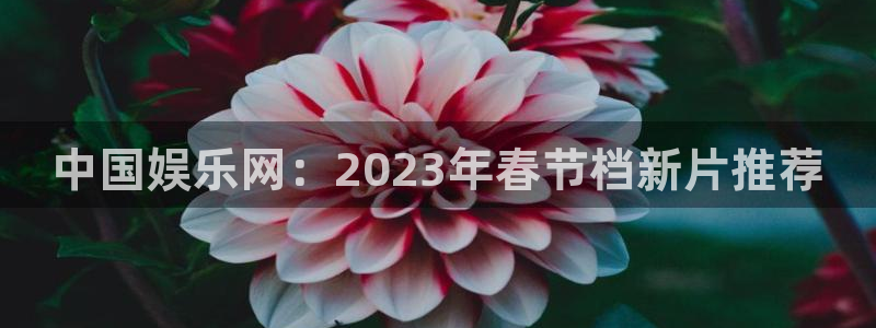 沐鸣2主管