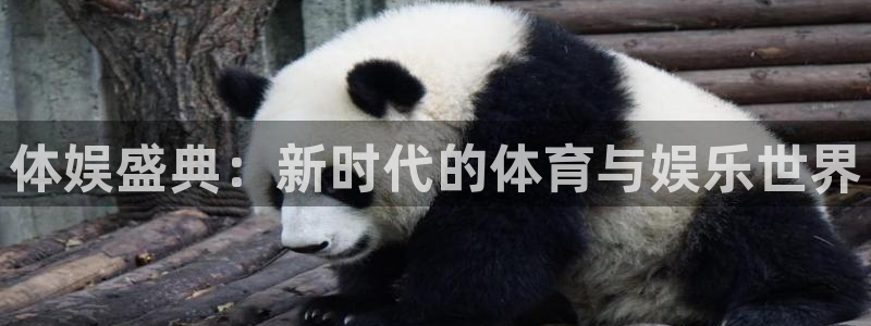 沐鸣2官网