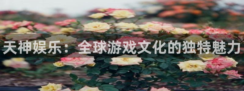 沐鸣娱乐2