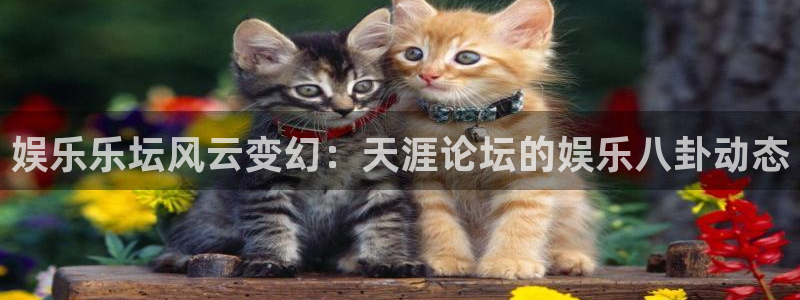 沐鸣科技