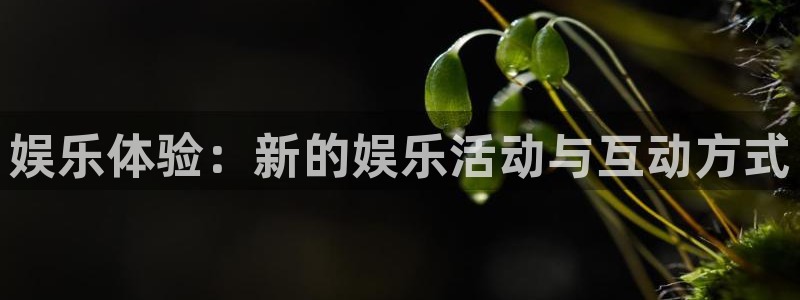 沐鸣