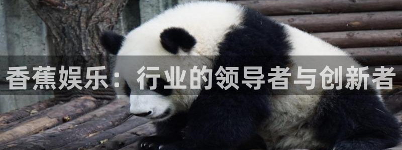 沐鸣科技