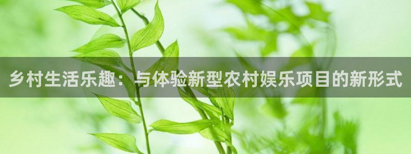 沐鸣2平台官网登录