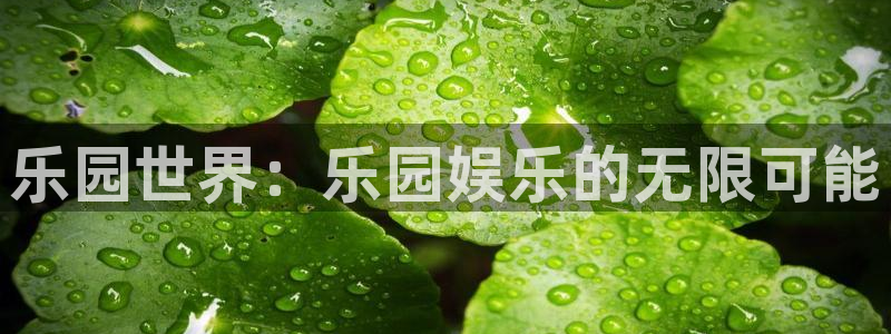 沐鸣2娱乐