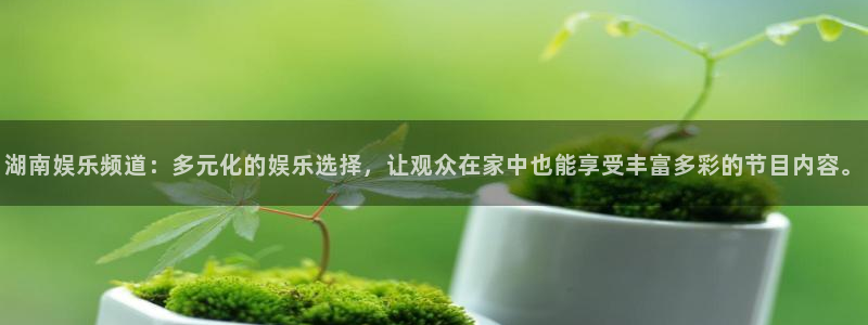 沐鸣2平台